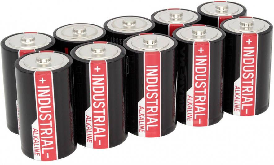 Ansmann Industrië, le alkalinebatterijen mono D LR20 10 stuks 1504 0000