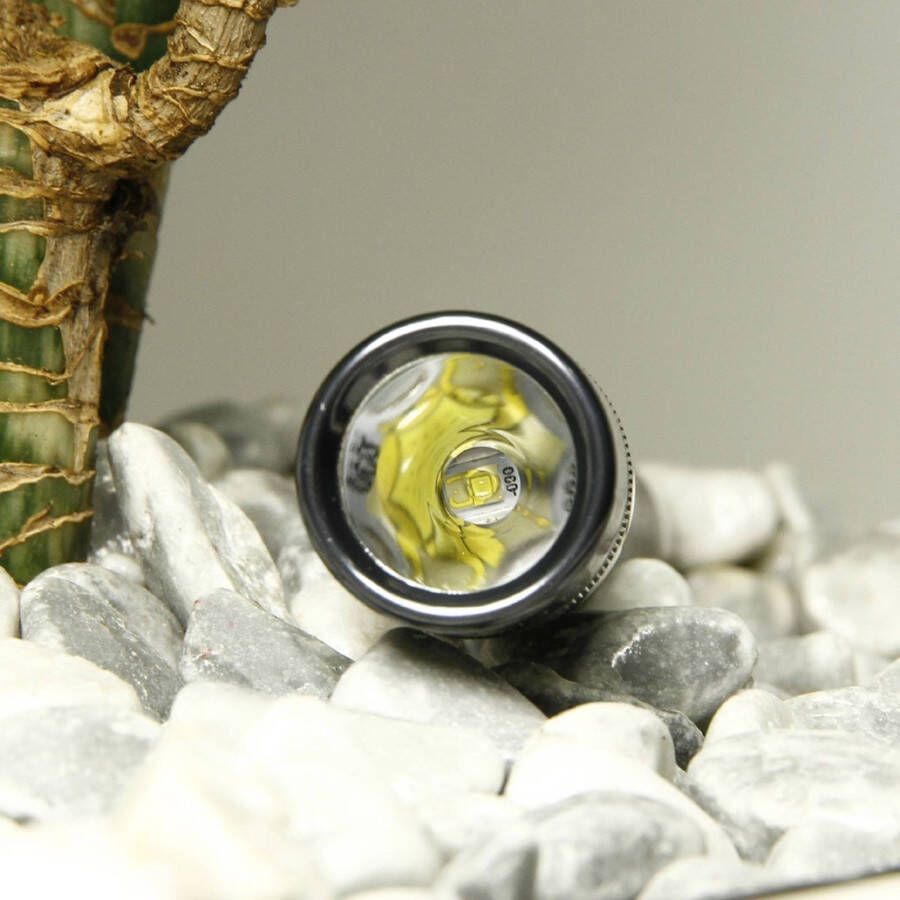 Maglite Led zaklamp Mini , titanium