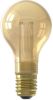 Trendhopper Calex LED Glassfiber GLS Lamp A60 220 240V 2, 3W 60lm E27, Goud 1800K dimbaar online kopen